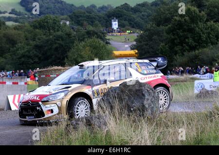 Baumholder, Deutschland. 23. August 2014. Kris Meeke (Großbritannien) und Co-Pilot Paul Nagle (Irland) übergeben die Wertungsprüfung der ADAC Rallye Deutschland Teil der WRC-Rallye-Meisterschaft auf dem Truppenübungsplatz in Baumholder, Deutschland, 23. August 2014. Foto: THOMAS FREY/Dpa/Alamy Live News Stockfoto