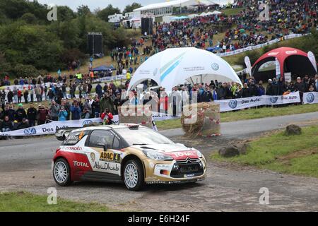 Baumholder, Deutschland. 23. August 2014. Mads Ostgerg (Norwegen) und Co-Pilot Jonas Andersson(Sweden) pass der Wertungsprüfung der ADAC Rallye Deutschland Teil der WRC-Rallye-Meisterschaft auf dem Truppenübungsplatz in Baumholder, Deutschland, 23. August 2014. Foto: THOMAS FREY/Dpa/Alamy Live News Stockfoto