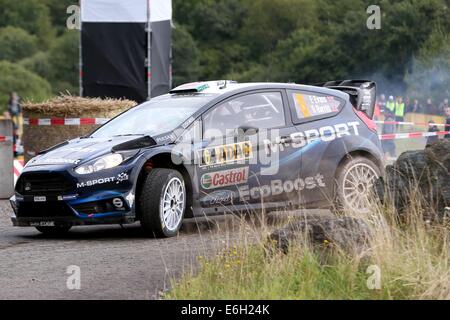 Baumholder, Deutschland. 23. August 2014. Elfyn Evans und Co-Pilot Daniel Barritt (beide Großbritannien) übergeben die Wertungsprüfung der ADAC Rallye Deutschland Teil der WRC-Rallye-Meisterschaft auf dem Truppenübungsplatz in Baumholder, Deutschland, 23. August 2014. Foto: THOMAS FREY/Dpa/Alamy Live News Stockfoto