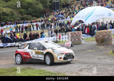 Baumholder, Deutschland. 23. August 2014. Kris Meeke (Großbritannien) und Co-Pilot Paul Nagle (Irland) übergeben die Wertungsprüfung der ADAC Rallye Deutschland Teil der WRC-Rallye-Meisterschaft auf dem Truppenübungsplatz in Baumholder, Deutschland, 23. August 2014. Foto: THOMAS FREY/Dpa/Alamy Live News Stockfoto