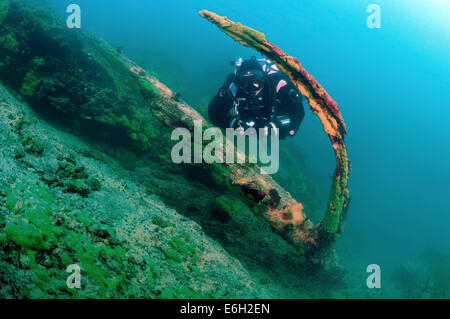 Taucher in der Nähe der überschwemmten Baum, Baikalsee, Sibirien, Russland, Eurasien Stockfoto