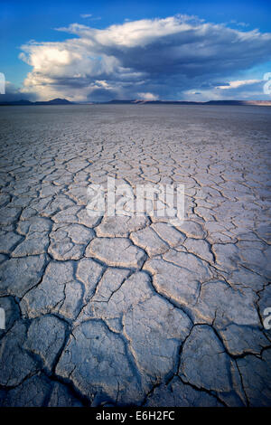 Alvord Wüste und Wolken Harney County, Oregon. Stockfoto