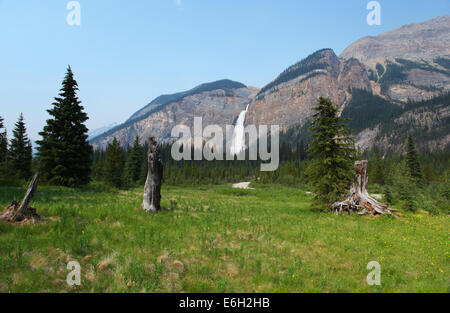 Gespeisten fällt im Yoho Nationalpark in British Columbia, Kanada Stockfoto