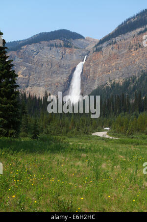 Gespeisten fällt im Yoho Nationalpark in British Columbia, Kanada Stockfoto