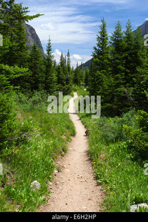 Wanderweg im Grand-Teton-Nationalpark, Wyoming Stockfoto