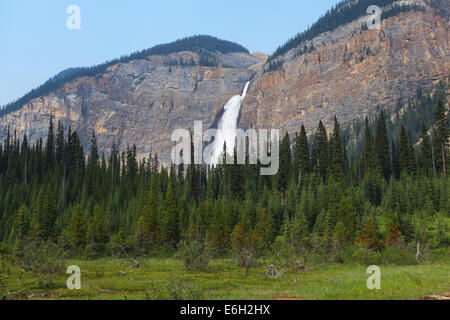 Gespeisten fällt im Yoho Nationalpark in British Columbia, Kanada Stockfoto