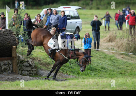 Blair Atholl, Schottland. 23. August 2014. Blair Castle International Horse Trials. Polly Stockton (GBR) Reiten Benromach im CIC. Bildnachweis: Aktion Plus Sport/Alamy Live-Nachrichten Stockfoto