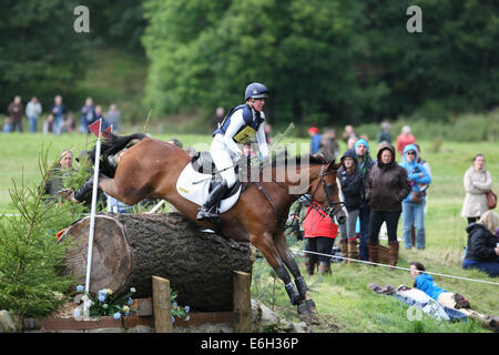 Blair Atholl, Schottland. 23. August 2014. Blair Castle International Horse Trials. Nicola Wilson (GBR) Reiten ein zwei viele im CIC. Bildnachweis: Aktion Plus Sport/Alamy Live-Nachrichten Stockfoto