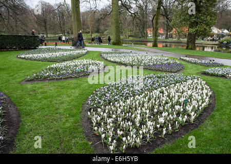 Vorfrühlingsblüher im Keukenhof Gärten, Niederlande Stockfoto