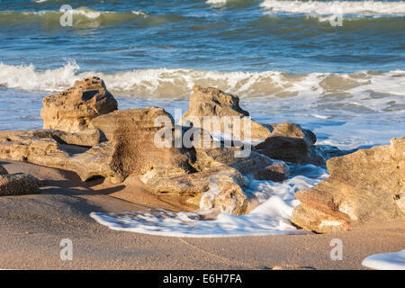 Coquina Felsformationen entlang Küste des Atlantischen Ozeans im Washington Eichen Gärten State Park in Palm Coast, Florida, USA Stockfoto