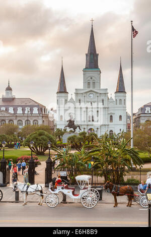 Pferde und Kutschen aufgereiht auf Decatur Street vor Jackson Square und die St. Louis Kathedrale im French Quarter Stockfoto