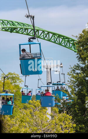 Park Gäste Reiten den Skyride Cable Cars vorbei an der Achterbahn Cheetah Hunt im Busch Gardens Tampa Bay in Tampa, Florida Stockfoto