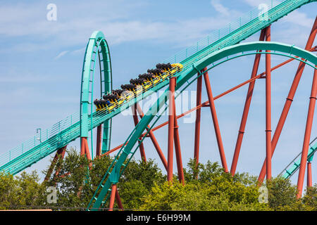 Kumba Achterbahn im Freizeitpark Busch Gardens in Tampa, Florida, USA Stockfoto