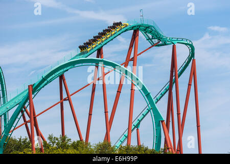 Kumba Achterbahn im Freizeitpark Busch Gardens in Tampa, Florida, USA Stockfoto