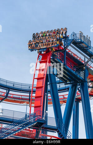 Parkbesucher fahren Achterbahn SheiKra im Freizeitpark Busch Gardens in Tampa, Florida, USA Stockfoto