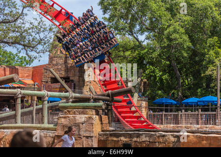 Parkbesucher fahren Achterbahn SheiKra im Freizeitpark Busch Gardens in Tampa, Florida, USA Stockfoto