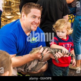 Junge Tiere Baby-Alligator statt durch den Menschen repräsentieren Wild am Herzen Rescue während einer Demonstration in Ocean Springs, MS Stockfoto