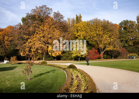 Gasse in Royal Lazienki Gärten im Herbst, Stadt von Warschau, Polen. Stockfoto