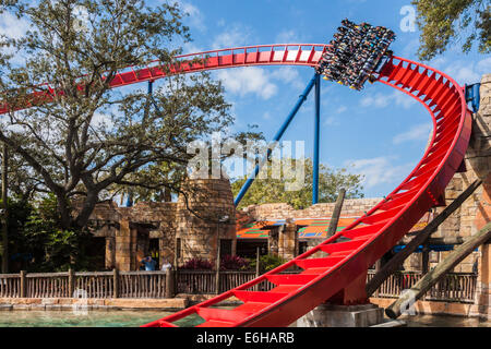 Parkbesucher fahren Achterbahn SheiKra im Freizeitpark Busch Gardens in Tampa, Florida, USA Stockfoto