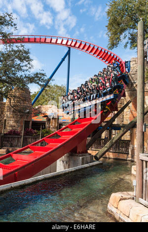 Parkbesucher fahren Achterbahn SheiKra im Freizeitpark Busch Gardens in Tampa, Florida, USA Stockfoto