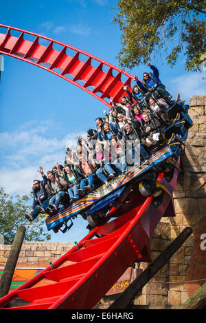 Parkbesucher fahren Achterbahn SheiKra im Freizeitpark Busch Gardens in Tampa, Florida, USA Stockfoto