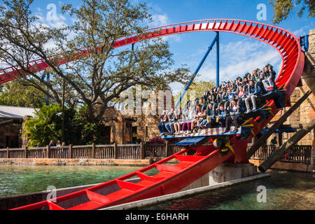 Parkbesucher fahren Achterbahn SheiKra im Freizeitpark Busch Gardens in Tampa, Florida, USA Stockfoto