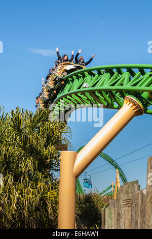 Park Gäste fahren Achterbahn Cheetah Hunt im Busch Gardens Tampa Bay in Tampa, Florida Stockfoto