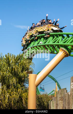 Park Gäste fahren Achterbahn Cheetah Hunt im Busch Gardens Tampa Bay in Tampa, Florida Stockfoto