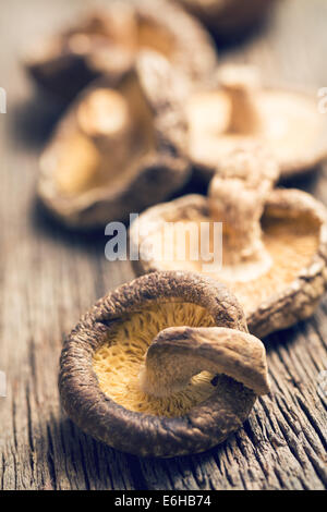 die getrocknete Shiitake-Pilze auf alten Holztisch Stockfoto