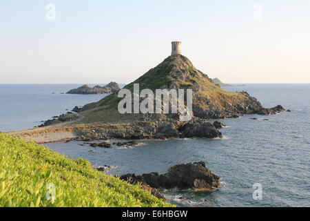 Iles Sanguinaires, in der Nähe von Ajaccio, Korsika, Frankreich Stockfoto