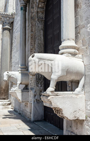 Zwei steinerne Stiere tragende Säulen am Eingang der Basilika di San Nicola, St Nicholas Basilica in Bari Altstadt, Pugli Stockfoto