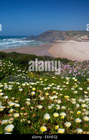 Strand Praia da Amoreira auf Costa Vicentina mit Frühlingsblumen Atlantik Parque Natural Sudoeste Alentejano e Costa Vice Stockfoto