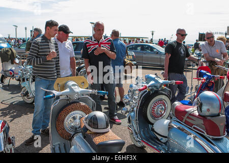 Mod All Weekender, Brighton 2014, Madeira Drive, Brighton, East Sussex, UK . Dies ist eine jährliche Veranstaltung der britischen Mod-Kultur an der Südküste Englands mit dem klassischen Roller als gewähltem Transportmittel. August 2014 Stockfoto