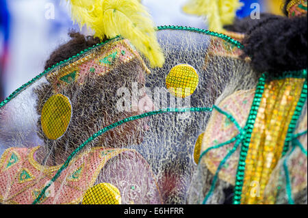 Carifest Parade in Calgary Alberta Kanada Stockfoto