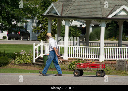 Geauga County, Ohio Mesopotamien. Amische Mann ziehen roten Wagen. Stockfoto