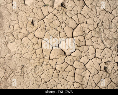 Trockene rissige Erde während Dürre Stockfoto