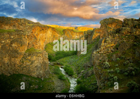 Beistand Creek Canyon mit Sonnenuntergang. Malheur Grafschaft, Oregon Stockfoto