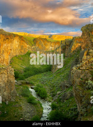 Beistand Creek Canyon mit Sonnenuntergang. Malheur Grafschaft, Oregon Stockfoto