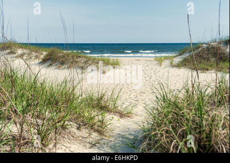 Küste North Carolinas Meer und Dünen Stockfoto