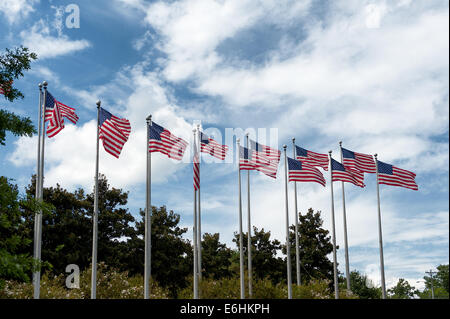 Amerikanische Flaggen im freien Stockfoto