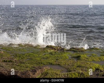 Kräftige Wellen brechen an einem steinigen Strand Stockfoto