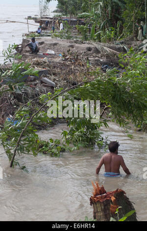 Bangladesch. 24. August 2014. Erosion durch die Padma-River in der Nähe der Mawa viele Menschen verloren ihr Land in der Erosion in Padma, sie sind jetzt obdachlos. Bangladesch gehört zu den am dichtesten bevölkerten Länder der Welt mit 32 % Küstengebiet, das ist 47,211.square Kilometer. Nach der Volkszählung im Jahr 2001 leben rund 35 Millionen Menschen in der Küstenregion, die 28 % der Gesamtbevölkerung ist. Entsprechend der geografischen Lage und Biodiversität, it.is zu sagen, dass das Küstenökosystem der am stärksten diversifizierte und sich ständig verändernden. Es verfügt über eine lebendige potentials.as sowie gefährdet und Gefahren. Thro Stockfoto