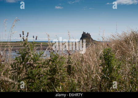 Lindisfarne Schloß auf Holy Island Northumberland England UK Stockfoto