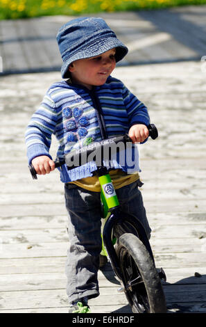 Ein zwei Jahre alter Junge ein Strider Laufrad fahren Stockfoto