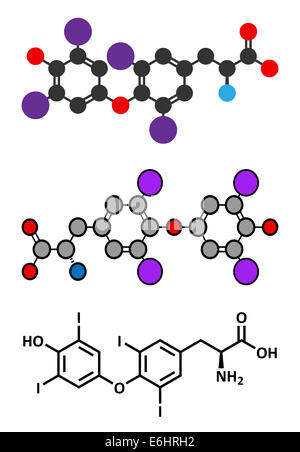 Schilddrüsenhormon Thyroxin (T4, Levothyroxin)-Molekül. Prohormon von Thyronine (T3). Als Medikament zur Behandlung von Hypothyreose. Styl Stockfoto