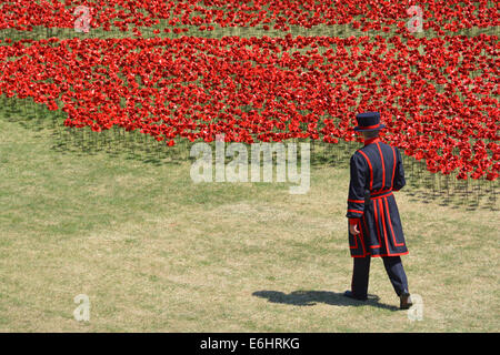 Yeoman Warder & Bereich der Keramik Mohnblumen "Blut fegte Ländereien & Meere rot" 1. Weltkrieg Tribut in den trockenen Graben an der Tower von London Tower Hamlets UK Stockfoto