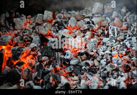 glühende Kohlen sind fertig zum Backen Grill Stockfoto