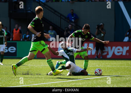 24. August 2014 - geht Portland DARLINGTON NAGBE (6) in die Box. Die Portland Timbers FC spielen die Seattle Sounders FC in Providence Park am 24. August 2014. © David Blair/ZUMA Draht/Alamy Live-Nachrichten Stockfoto