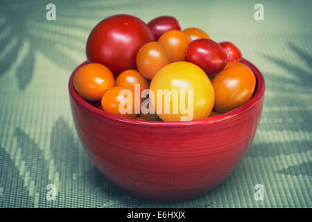 Schüssel mit gemischten Tomaten Stockfoto