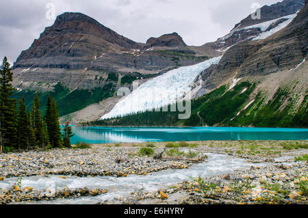 Landschaftlich reizvolle Bergwanderungen Ansichten, Berg Lake Trail, Mount Robson Provincial Park-British Columbia-Kanada Stockfoto